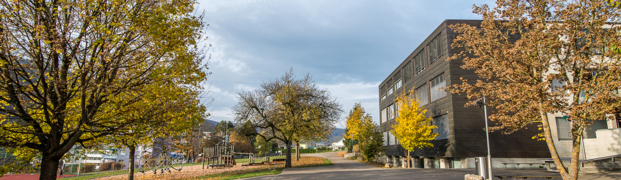 Schule Beringen